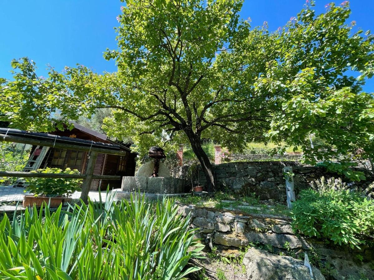 Il Frantoio Di Luna - Levanto, 5 Terre Exterior foto